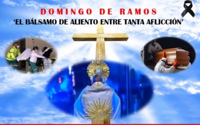 El Domingo de Ramos, la divina misericordia entre tanto sufrimiento