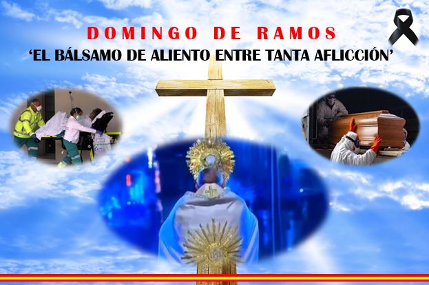 El Domingo de Ramos, la divina misericordia entre tanto sufrimiento