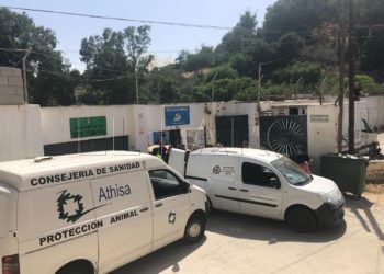 protectora animales incendio garcia aldave 5