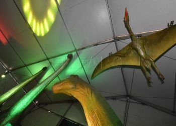 Dinosaurios llegan a Ceuta 14