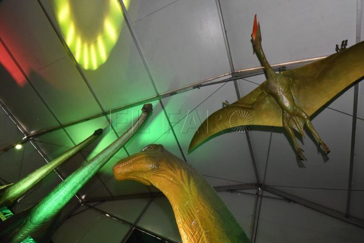 Dinosaurios llegan a Ceuta 14