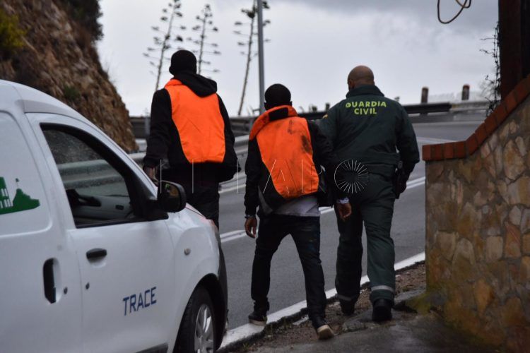 Subsaharianos Quino 4