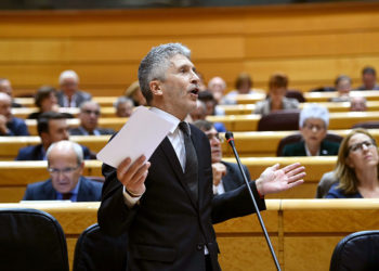 El ministro del Interior, Fernando Grande Marlaska, durante su intervención en la sesión de control al Gobierno en el pleno del Senado, esta tarde en Madrid. EFE/ Fernando Villar