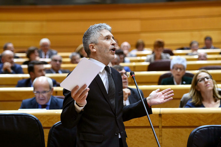El ministro del Interior, Fernando Grande Marlaska, durante su intervención en la sesión de control al Gobierno en el pleno del Senado, esta tarde en Madrid. EFE/ Fernando Villar