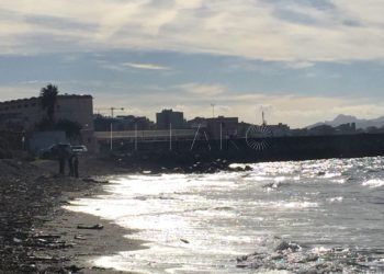 Subsahariano playa san amaro