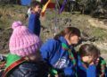 acampada scout 6
