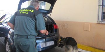 guardia civil con perro puerto droga embarque