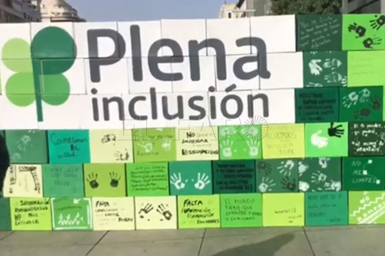 Plena-Inclusión
