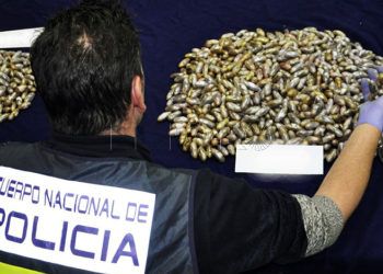 GRAF884. MÉRIDA, 27/03/2019.-Fotografía facilitada por la Policía Nacional, que ha detenido a ocho personas, siete hombres y una mujer, como presuntos autores de un delito de tráfico de drogas, a serles incautadas un total de 1.100 bellotas de hachís, que llevaban ocultas en su organismo. Según ha informado la Policía Nacional, la operación se llevó a cabo en la madrugada del pasado 24 de marzo dentro de uno de los habituales controles que se llevan a cabo contra el tráfico y venta de drogas.- EFE/Policía Nacional