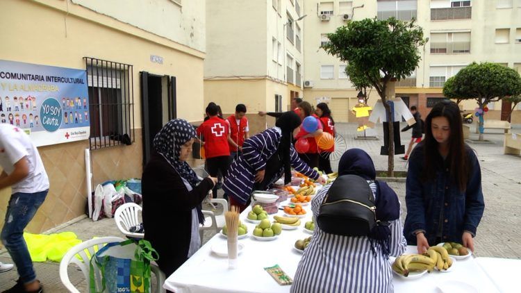 cruz roja miramar proyecto ICI 9