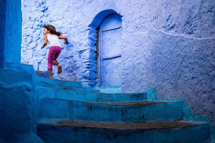 Little-Rogue-Carlos-Larios