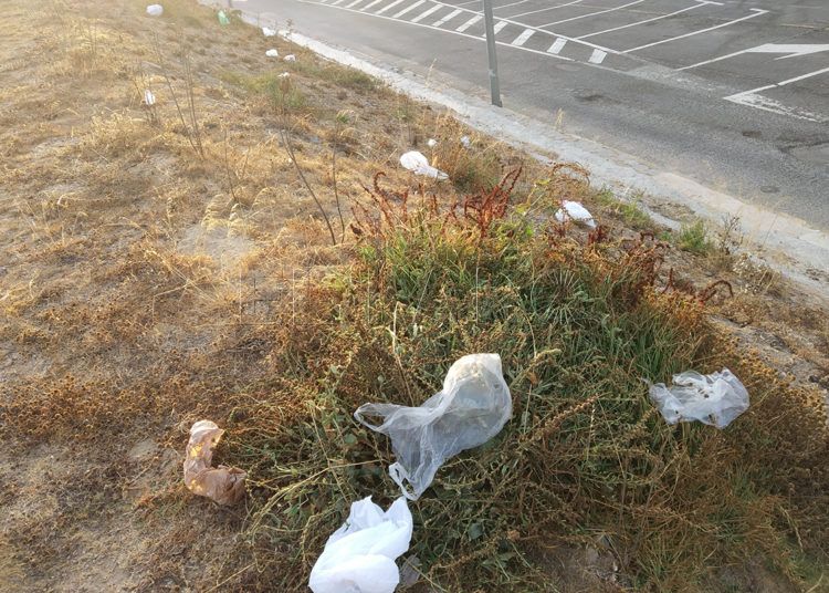 agua-parque-cementerio-1