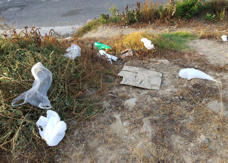 agua-parque-cementerio-3