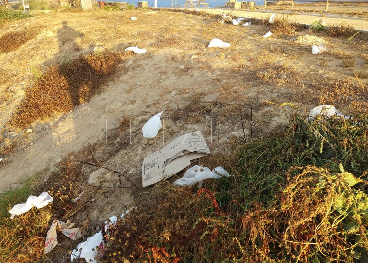 agua-parque-cementerio-4