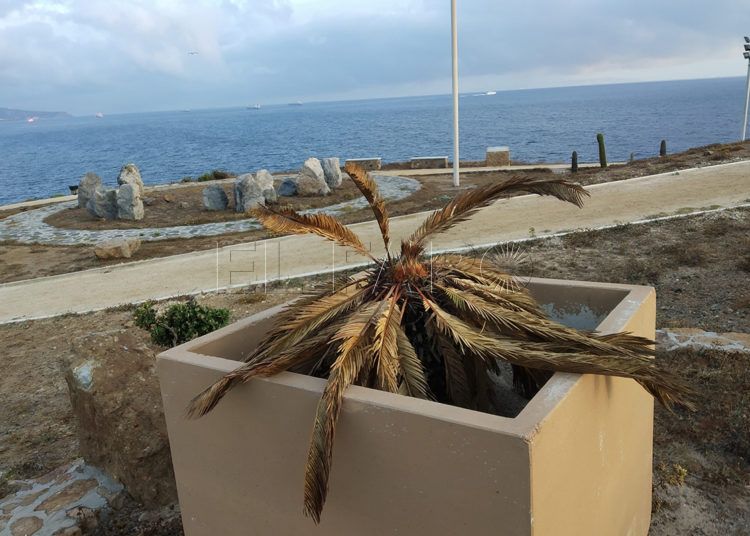 agua-parque-cementerio-6