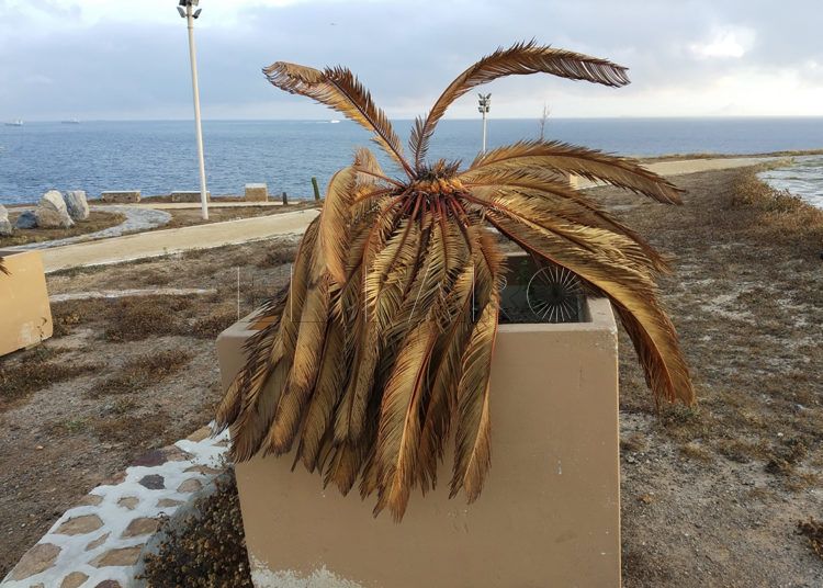 agua-parque-cementerio-7