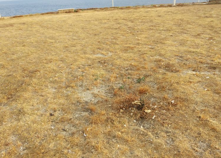 agua-parque-cementerio-8