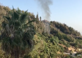 incendio-entorno-ceti