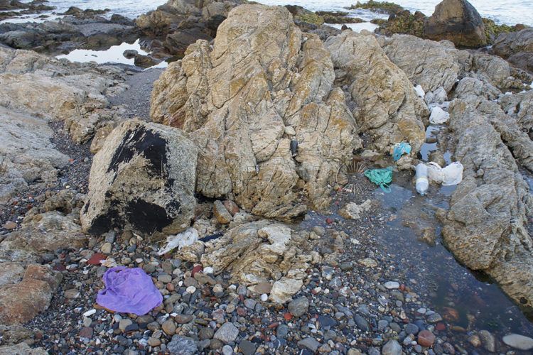 acantilados-costas-asco-15