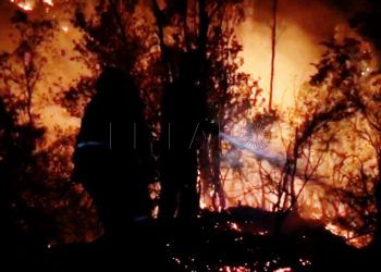 bomberos-lucha-incendio-4