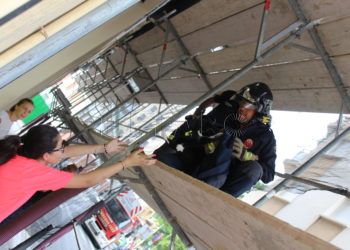 bomberos-rescate-gato-7