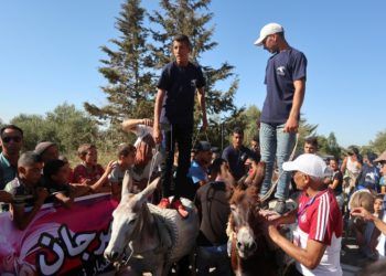 burra-cleopatra-concurso-belleza-1