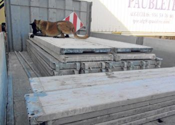 hachis-camion-puerto-perro