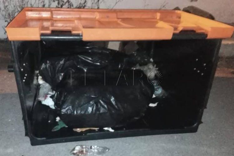 hachis-contenedores-basura