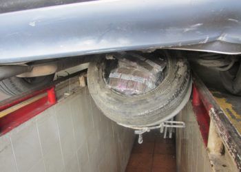 hachis-dentro-rueda-coche