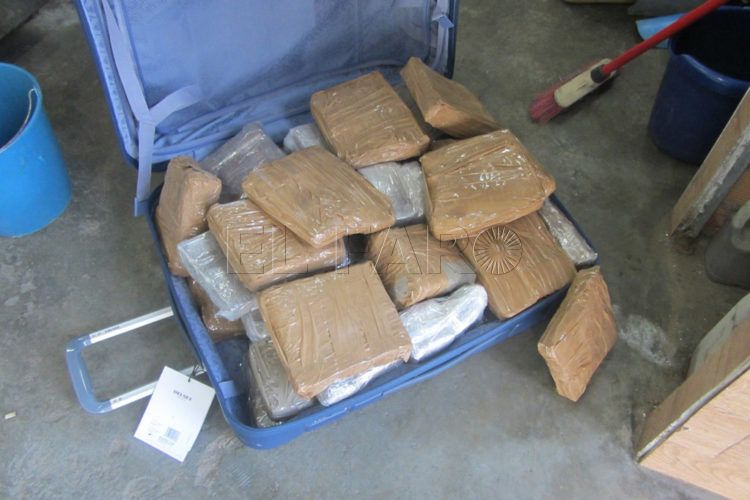 hachis-maleta-familia