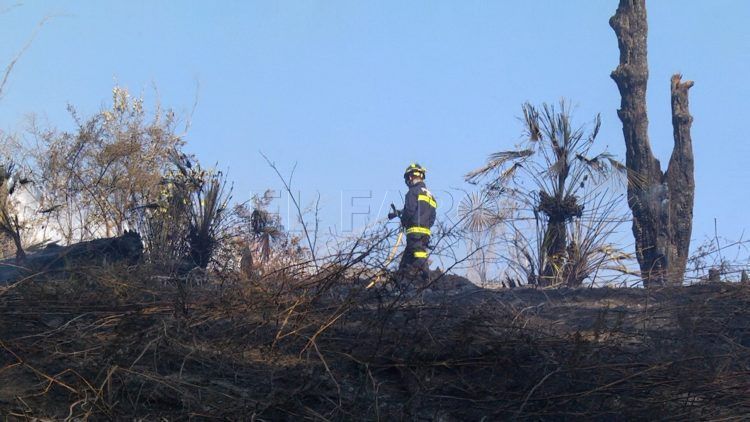 hidroavion-incendio-forestal-36