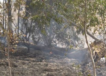 incendio-cercania-cementerio-musulman-10