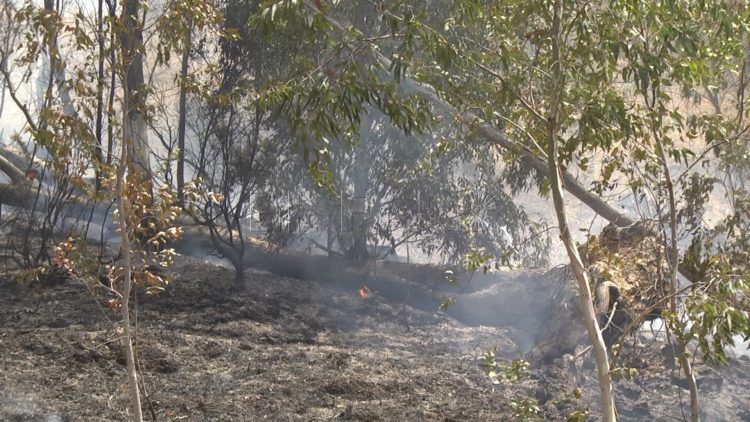 incendio-cercania-cementerio-musulman-10