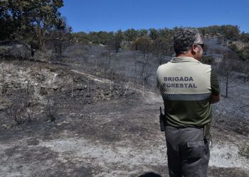 incendio-dia-despues-48