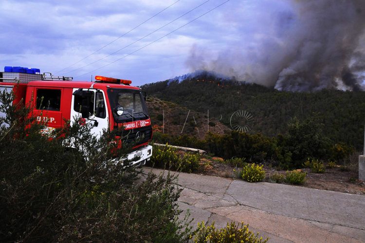 incendio-monte-tortuga-2015