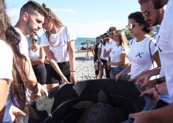 miss-mister-ceuta-tortuga-cecam-4