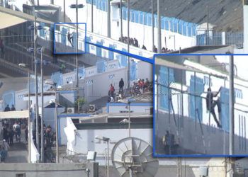 porteadores-frontera