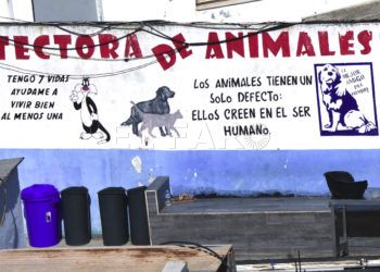 protectora-animales