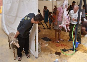 sacrificio-cordero-2018