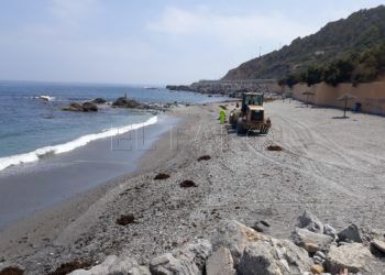 tragsa-limpia-algas-playas-3