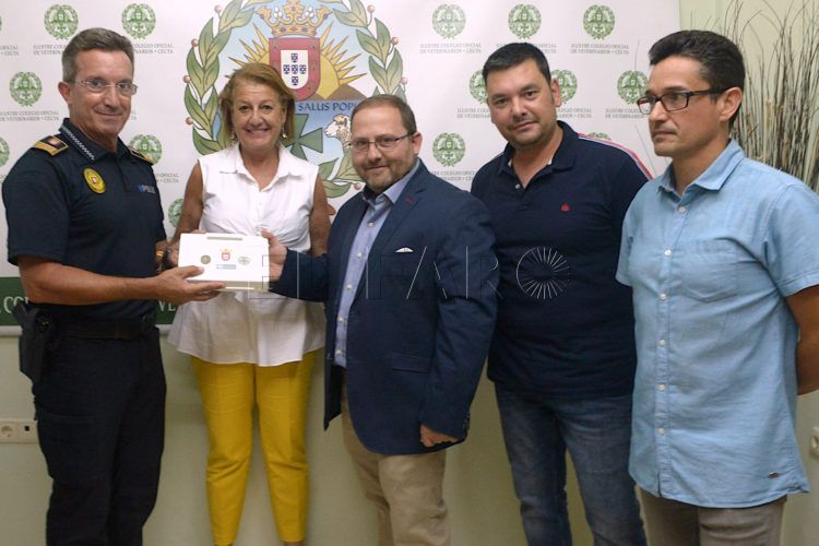 veterinarios-microchip-perro