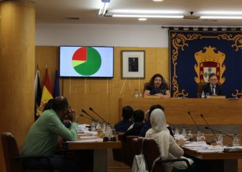 voto-telematico-pleno