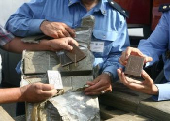 15 kilos hachis frontera