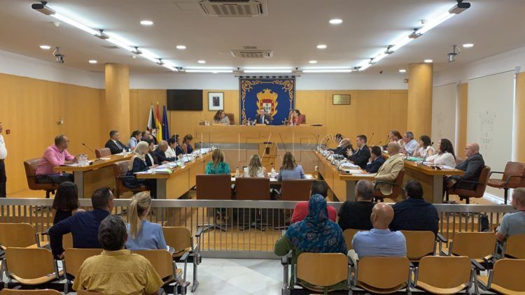 pleno-extraordinario-medallas-ciudad