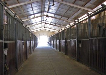 centro-ecuestre-interior-1