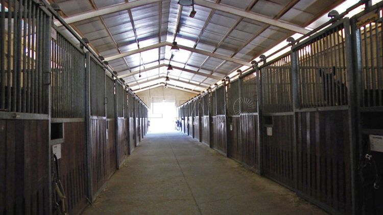 centro-ecuestre-interior-1