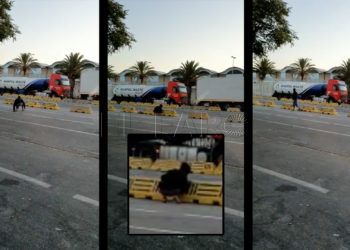 inmigrante-tripleta-puerto