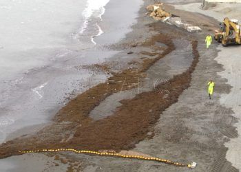 ciudad-compostaje-algas