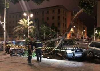 bomberos-arbol-avenida-africa-caida