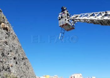 borregos-rescatods-bomberos-5